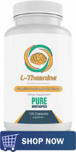 Best Nootropics For Anxiety 4 L-Theanine Pure