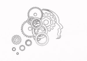 Brain gears working