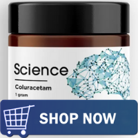 Best Nootropics For Studying 5