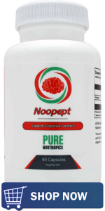 The Top 3 Nootropic Stacks For Beginners 3 The Top 3 Nootropic Stacks For Beginners 2