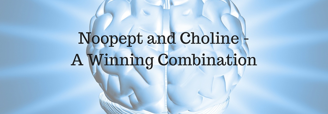 Noopept and Choline