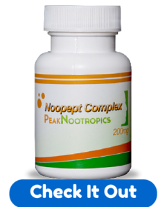 Noopept and Choline - A Winning Combination 3 noopept choline check it out