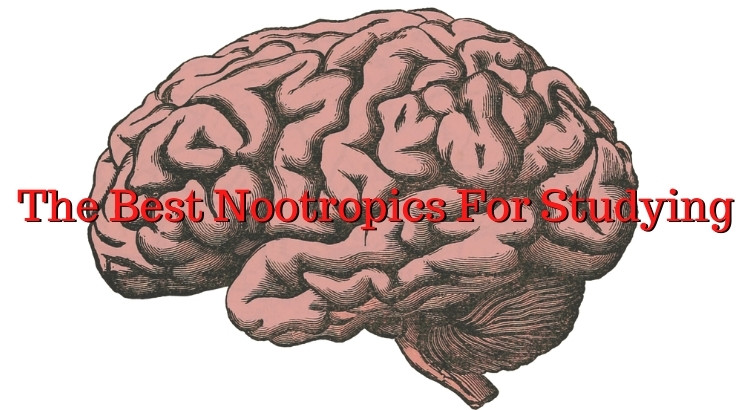 nootropics for selfcontrol