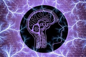 Brain Neurotransmitters