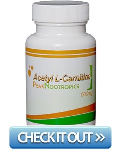 Using Nootropics As A Pre-Workout Supplement 4 ALCAR-PN