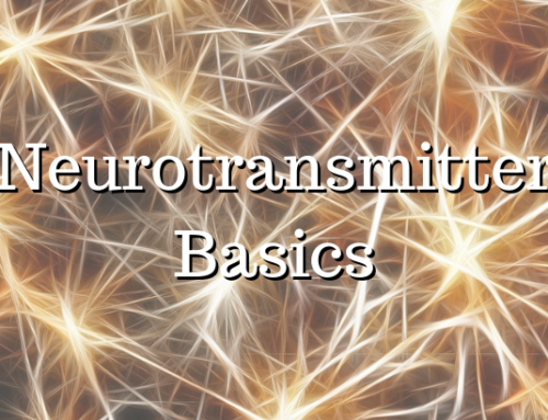 Neurotransmitter Basics