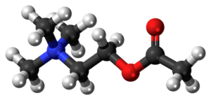 Acetylcholine molecule