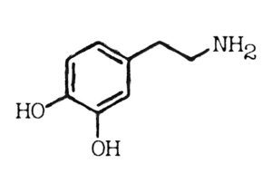 Dopamine molecule
