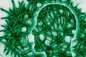 Neurotransmitter Basics 4 neural pathways