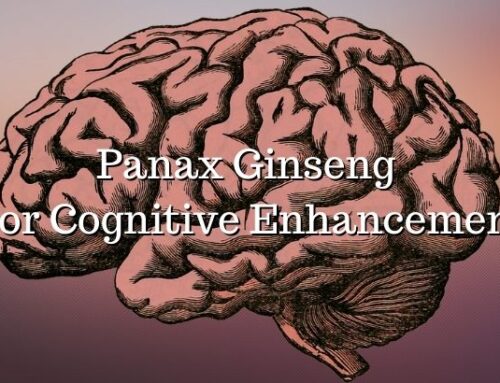Panax Ginseng For Cognitive Enhancement
