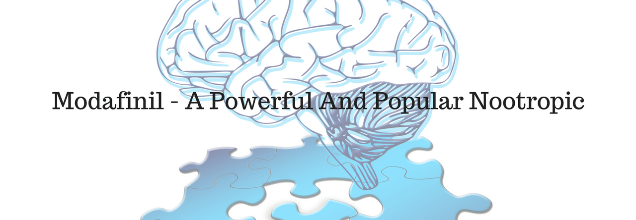 modafinil - a powerful and popular nootropic