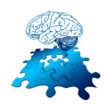 Modafinil - A Powerful And Popular Nootropic 1