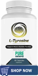 Using Precursors To Boost Cognitive Performance 3 Using Precursors To Boost Cognitive Performance 2