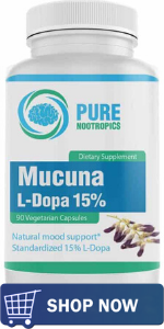 The Different Types Of Nootropics 11 The Different Types Of Nootropics 8