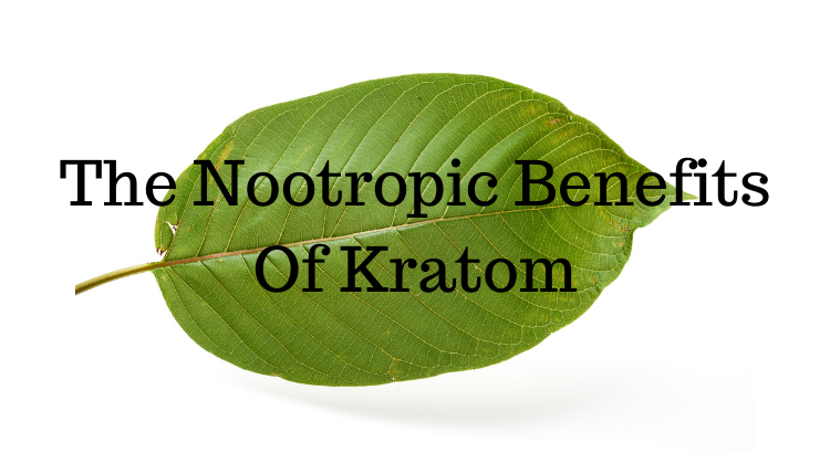 The Nootropic Benefits Of Kratom - Nootropics Zone