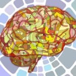 Fasoracetam - An Anxiety-Reducing Nootropic 2 Fasoracetam - An Anxiety-Reducing Nootropic 1