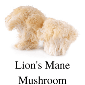 Lion's mane mushroom