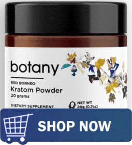 The Top 5 Natural Nootropics 6