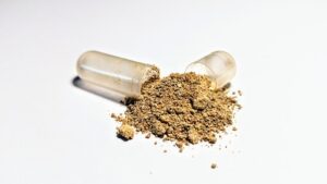 Nootropics For College Students 10 Ashwagandha powder