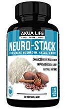Neuro-Stack Review 2 Neuro-Stack Review