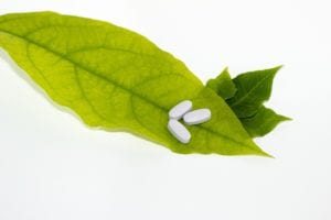 Leaf with Vitamins