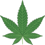 Weed leaf