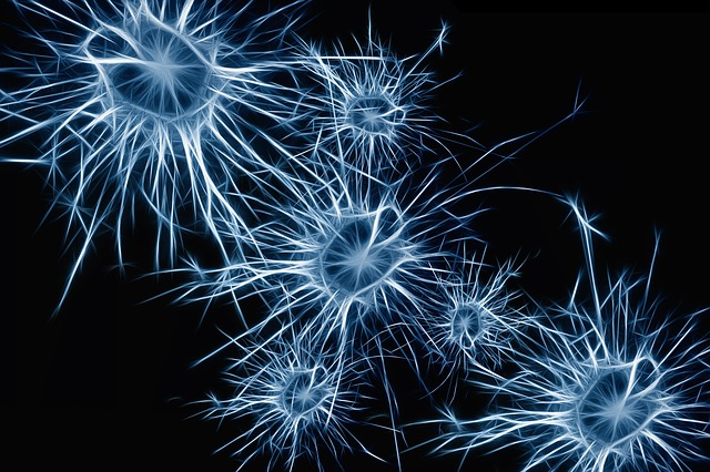 5 Common Myths About Nootropics 5 5 Common Myths About Nootropics 4