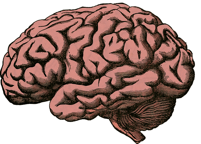 Nootropics and Autism 2 Nootropics and Autism 1