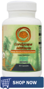 The Nootropic Benefits of Cordyceps 7 The Nootropic Benefits of Cordyceps 3