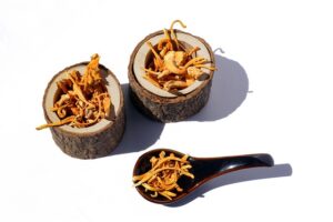 The Nootropic Benefits of Cordyceps 2 Cordyceps mushrooms
