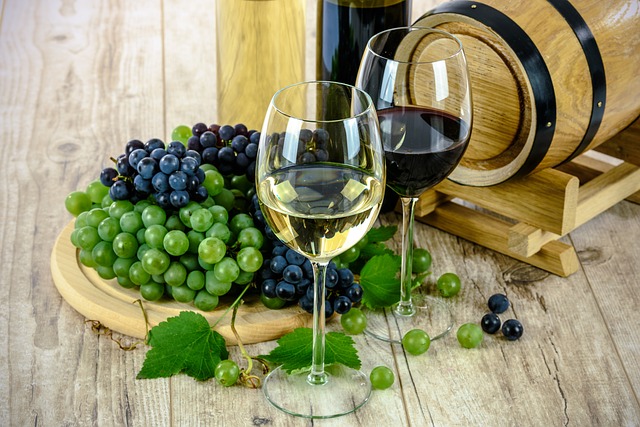 Nootropics and Alcohol 3 Wine Glasses