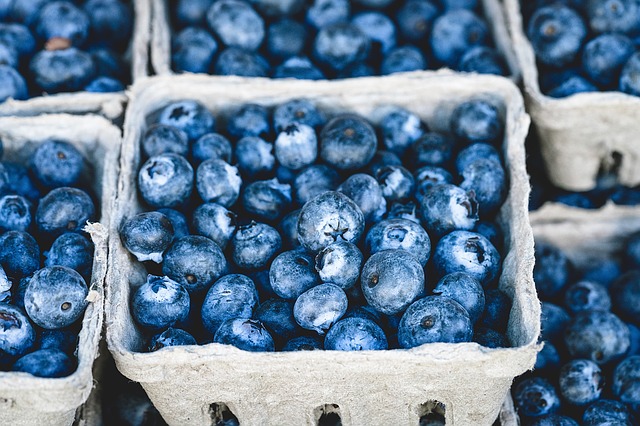8 Nootropic Foods For Memory, Mood, & More 4 8 Nootropic Foods For Memory, Mood, & More 3