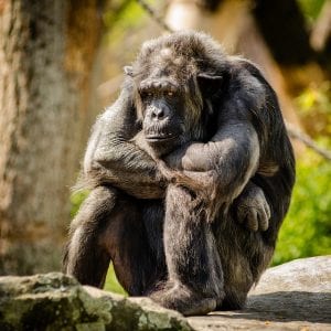 6 Ways Nootropics Can Improve Your Business And Your Life 3