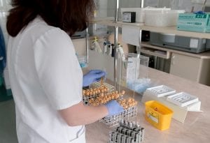 Blood Work For Brain Health 4