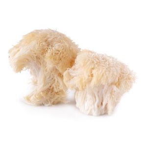Lion's Mane mushrooms
