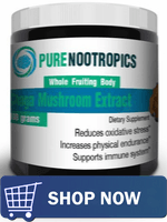 The Nootropic Benefits of Mushrooms 8 The Nootropic Benefits of Mushrooms 7