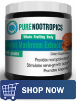 The Nootropic Benefits of Mushrooms 6 The Nootropic Benefits of Mushrooms 5