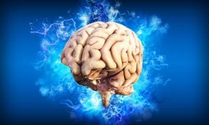 Beginner's Guide To Nootropics 4 Beginner's Guide To Nootropics 3