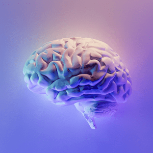 brain