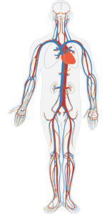The Nootropic Benefits Of Agmatine 5