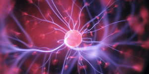 Alpha-GPC - A Choline-Boosting Nootropic 7 neuron