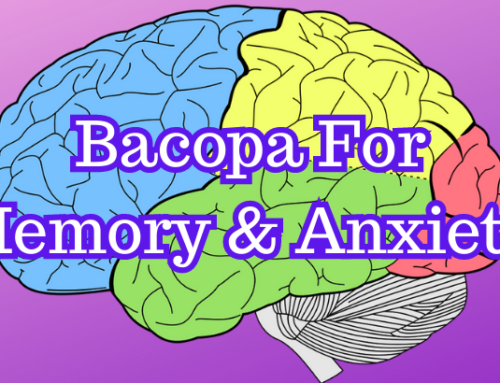 Bacopa For Memory And Anxiety