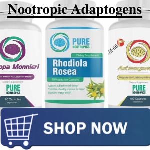 Nootropics and Meditation 4