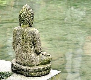 Nootropics and Meditation 6