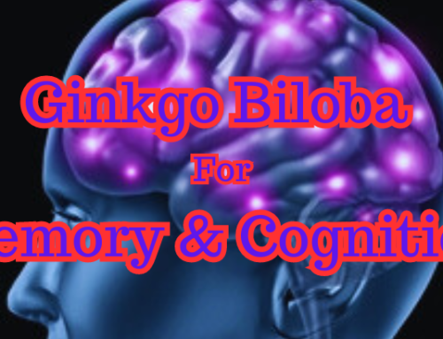 Ginkgo Biloba for Memory and Cognition