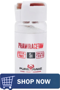 The Best Racetams: A Comparison 6 The Best Racetams: A Comparison 4