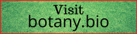 Botany.bio Review 7 Visit Botany.bio
