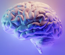 Piracetam - The First Nootropic 1