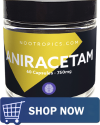Nootropics.com Review 5 Aniracetam - Nootropics com