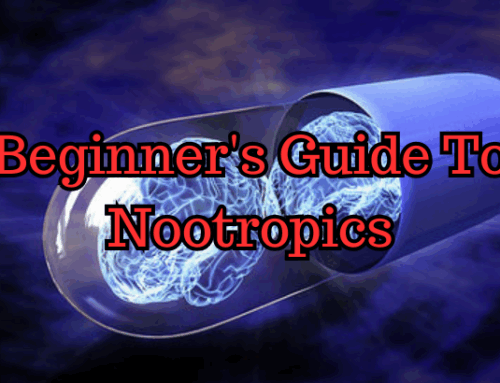 Beginner’s Guide To Nootropics